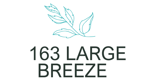 163 large breeze (1)
